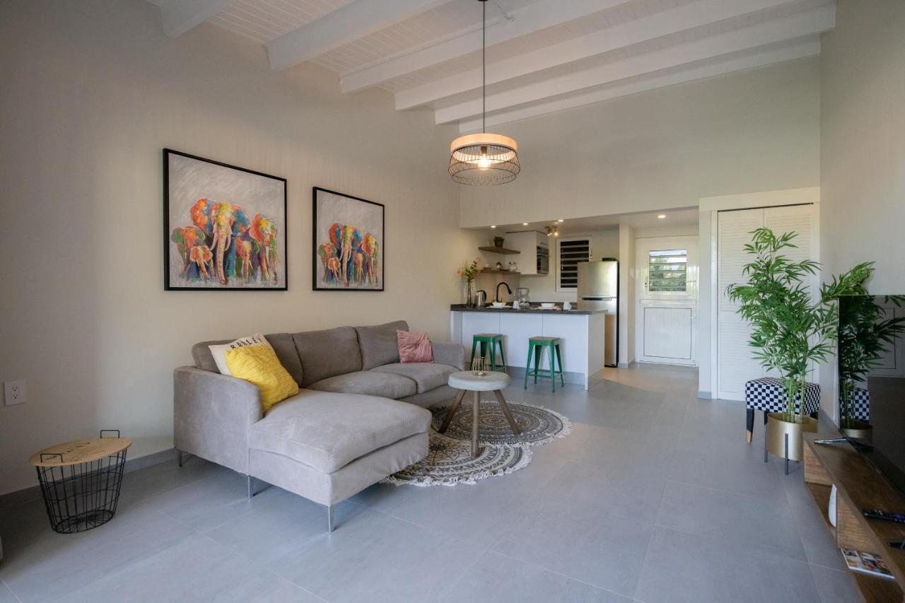 Casa Arte- Exclusive Apartment With Internet And Pool Santa Catharina Zewnętrze zdjęcie